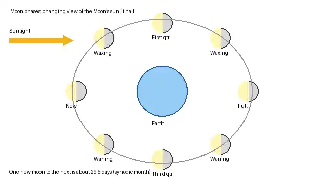 Moon orbiting Earth with incoming sunlight showing the sequence from new moon through quarter and full moon phases