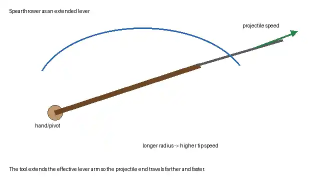 Spearthrower lever diagram showing a hand pivot, extended lever arm and increased projectile tip speed