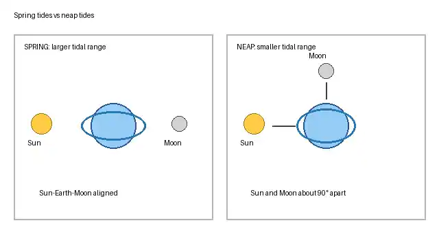 Side-by-side diagram comparing aligned Sun Earth Moon positions for spring tides with right-angle Sun and Moon positions for neap tides